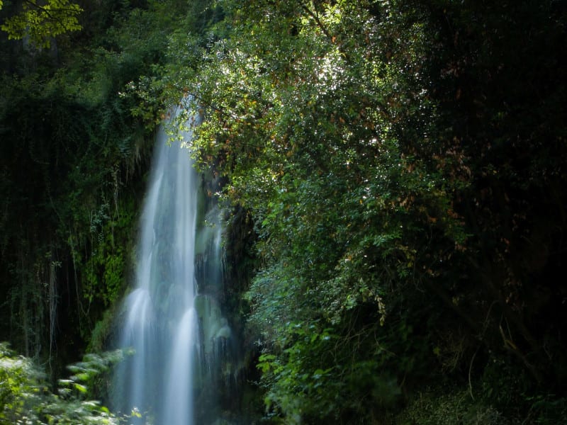 john-rodenn-castillo-a9smyzW_1V4-unsplash (1)