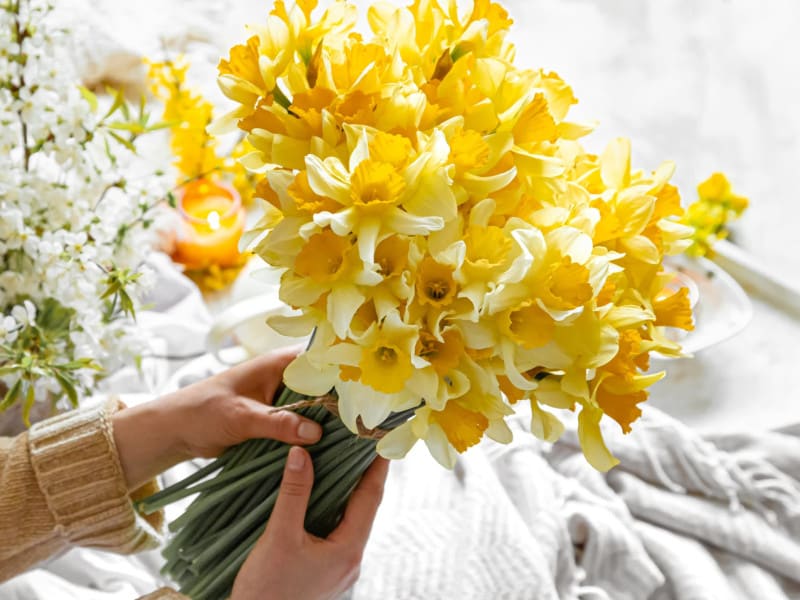 Daffodil Bouquet