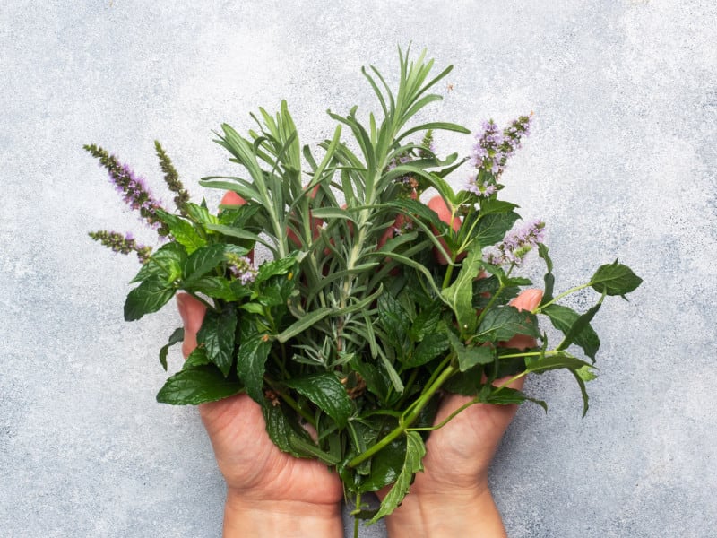 Herb Bouquet