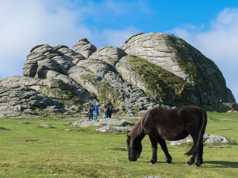 veronica-white-CWsOCzPj-8Q-unsplash (1)