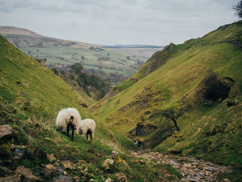 greg-willson-nkxQMUdOoT0-unsplash (1)