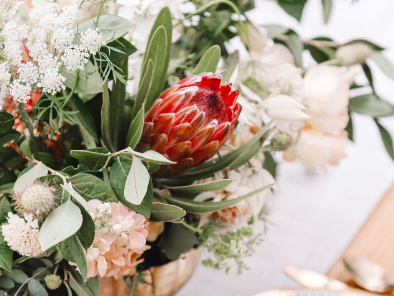 kelsey-curtis-8ezfg5oYHNY-unsplash