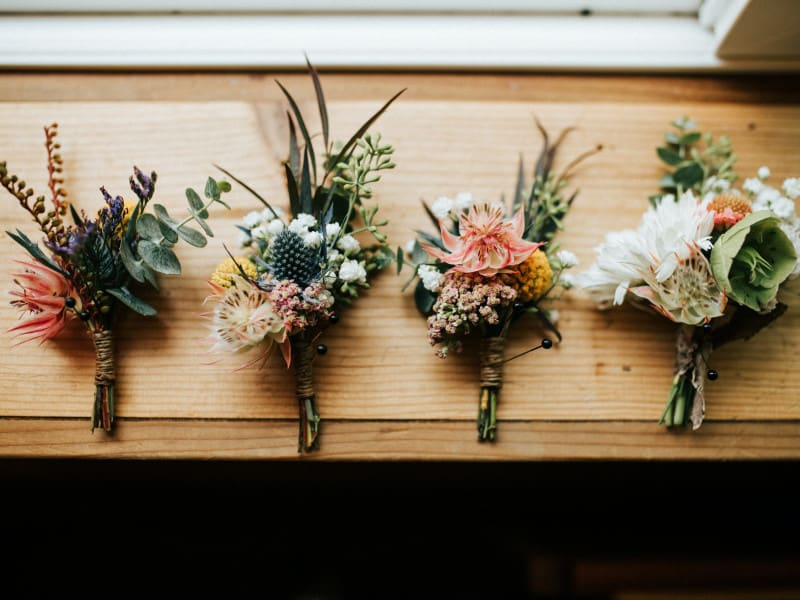 marisa-morton-h-dR-XFJXis-unsplash (1)