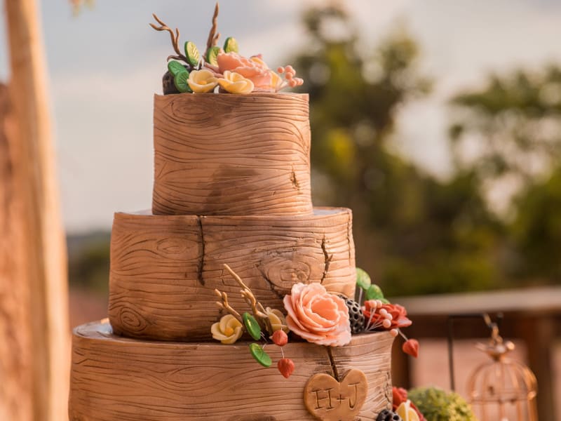 junior-reis-tY7sADKnJ2c-unsplash