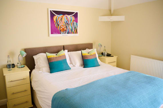 Room-10-HOP-Will-Dolphin