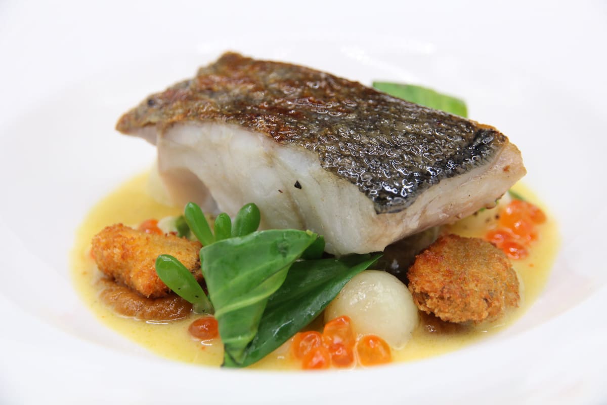 Stone bass main, TdH