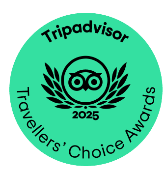 TC_green_winner-gif_LL_2025