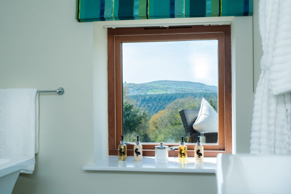 Room 11 Bathroom detail